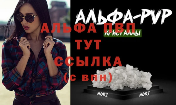 Альфа ПВП Няндома