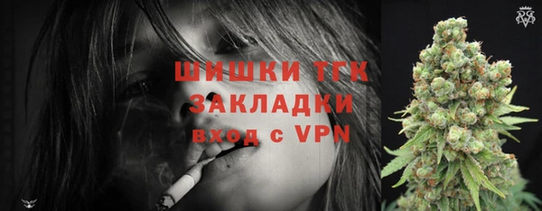 Альфа ПВП Няндома