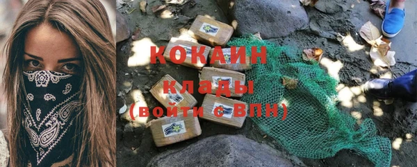 Альфа ПВП Няндома