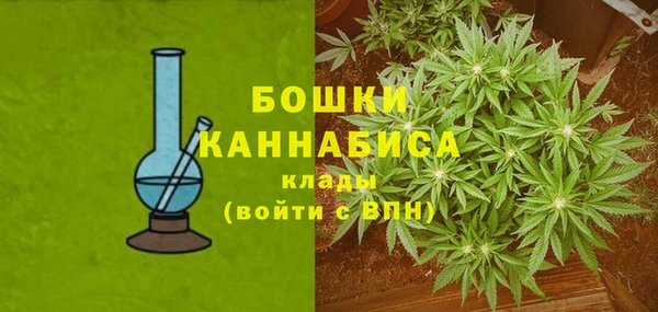 Альфа ПВП Няндома