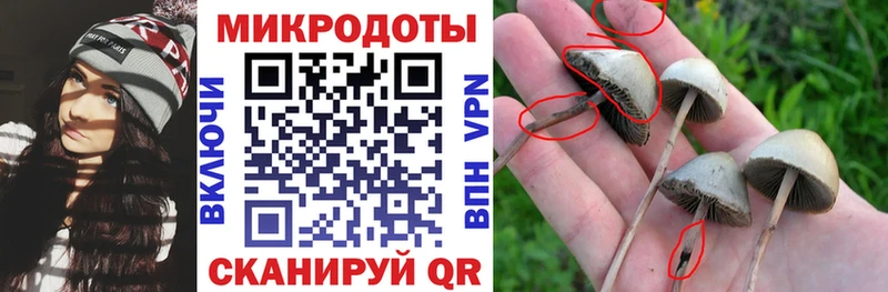Псилоцибиновые грибы мицелий  Пермь 
